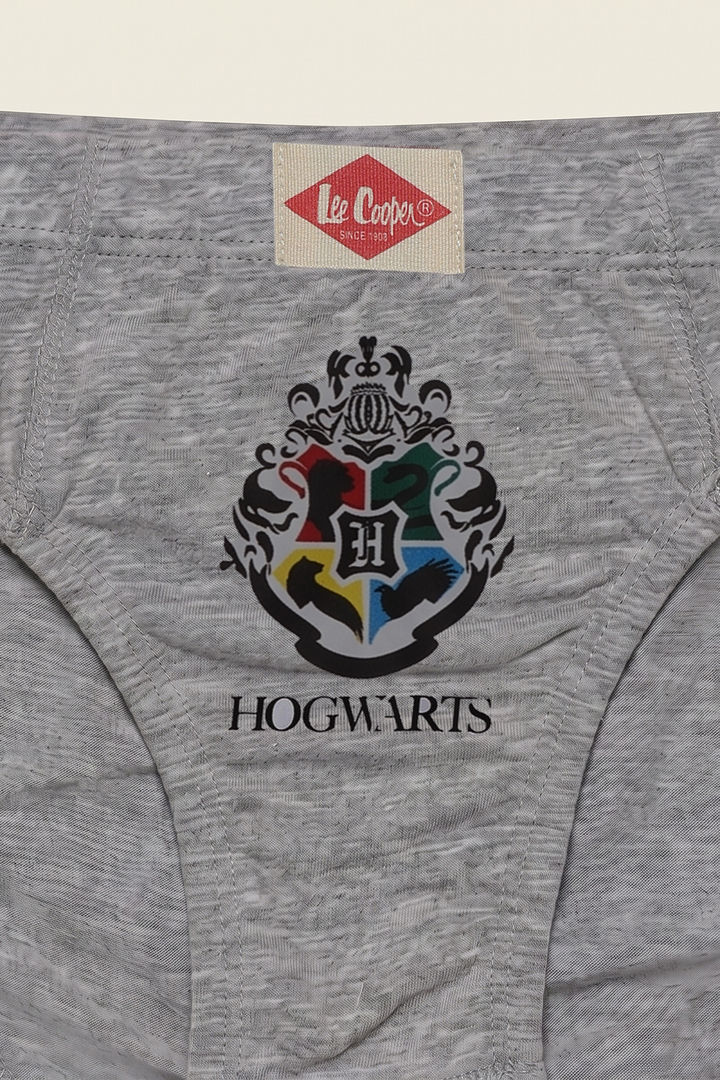 Lee Cooper Boys Harry Potter Briefs (Pack of 3) - Multicolor — image 7